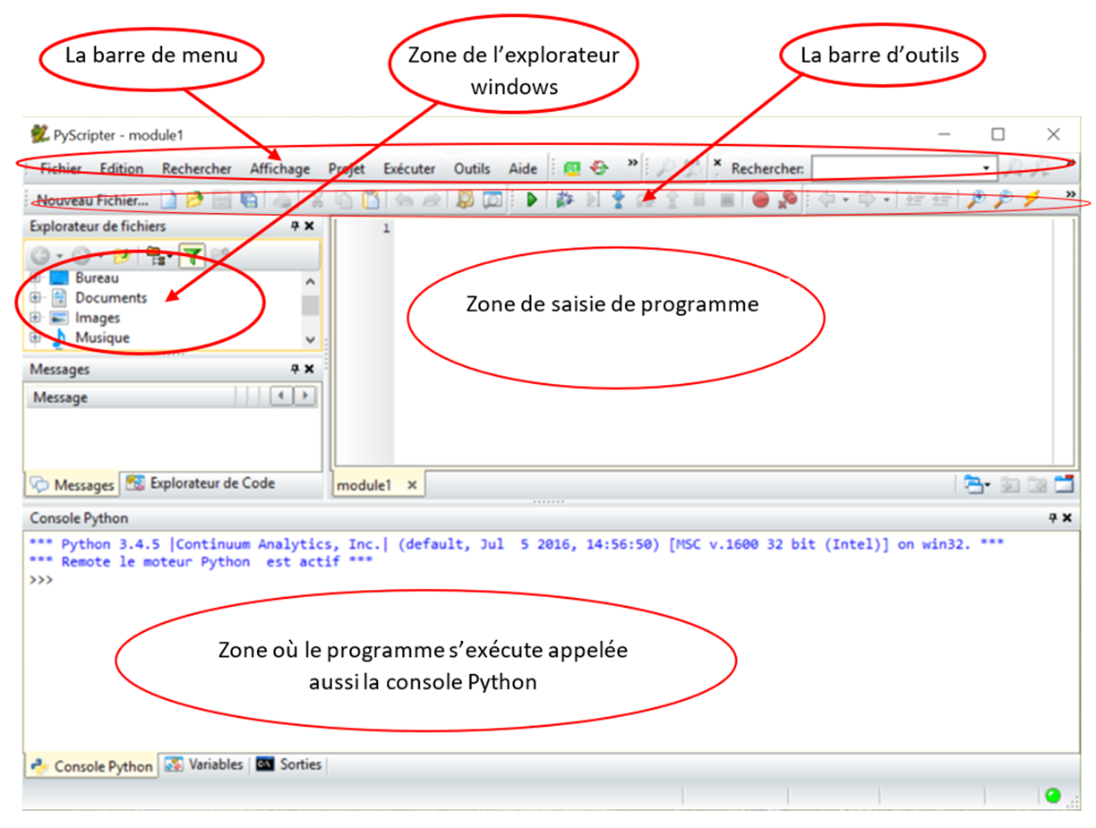 capture pyscripter